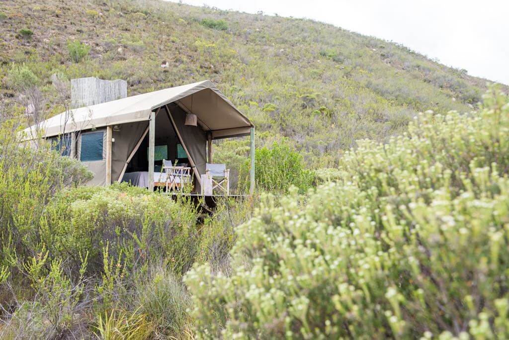 Gondwana Private Game Reserve BushBreaks